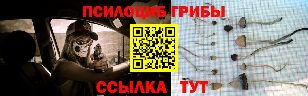 Галлюциногенные грибы Magic Shrooms  Псилоцибиновые грибы мухоморы  Вход с VPN  Вышний Волочёк 